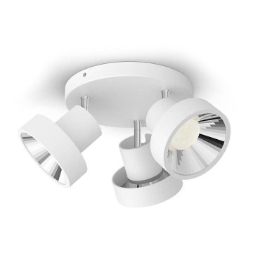 Philips 50603/31/P0 - LED Spotlight BUKKO 3xLED/4,5W/230V