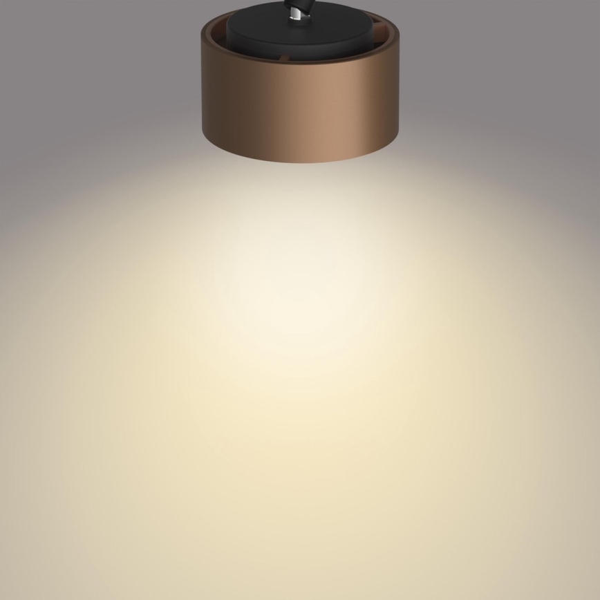 Philips 50654/05/P0 - LED Spotlight FERANO 4xLED/4,3W/230V
