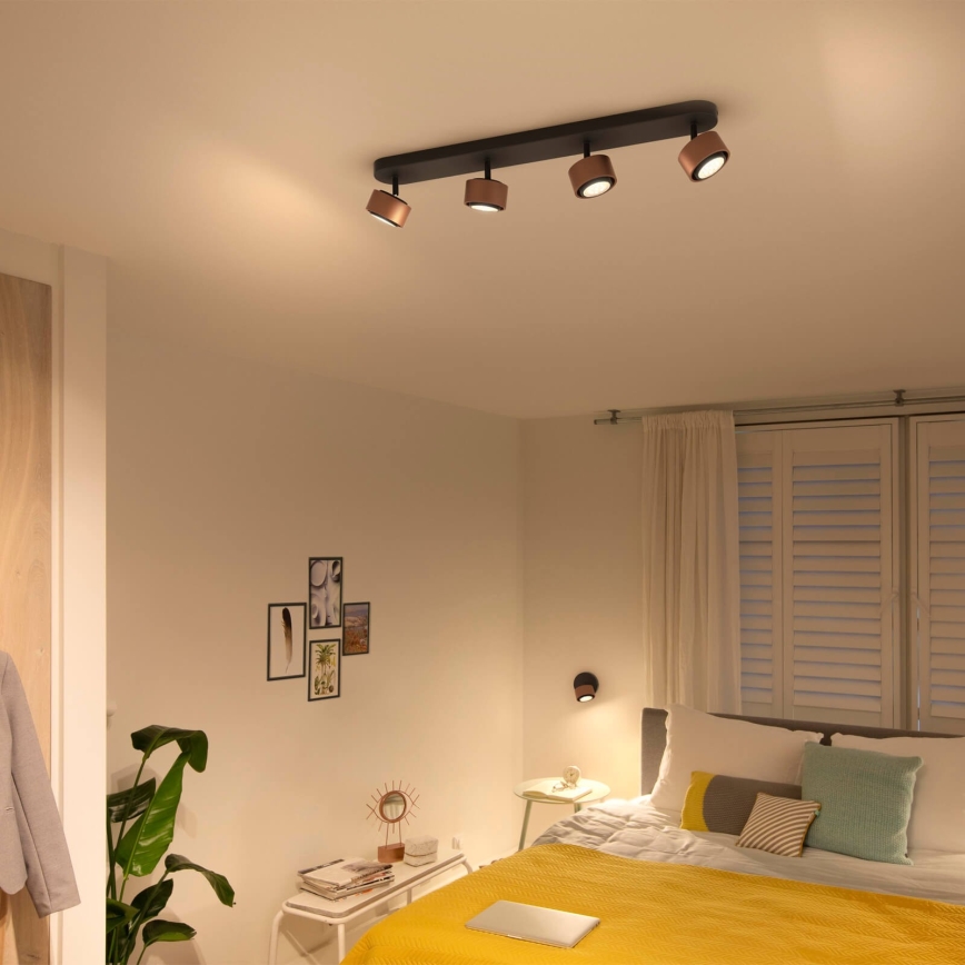 Philips 50654/05/P0 - LED Spotlight FERANO 4xLED/4,3W/230V