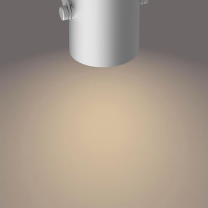Philips 50662/14/P0 - LED spotlight BYRE 2xLED/4,3W/230V 2200/2500/2700K