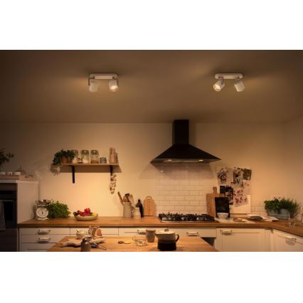 Philips - LED dimbar spotlight 2xLED/4,5W/230V