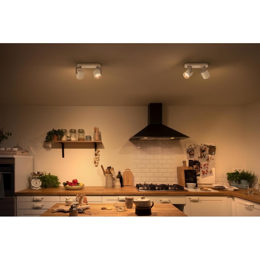 Philips - LED dimbar spotlight 2xLED/4,5W/230V