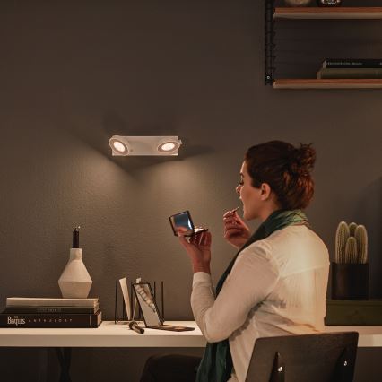 Philips 53172/31/P0 - Dimbar spotlight MYLIVING CLOCKWORK 2xLED/4.5W