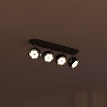Philips 53234/30/16 - LED spotlight MYLIVING DYNA 4xLED/3W/230V