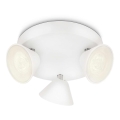Philips 53289/31/16 - LED spotlight TWEED 3xLED/3W/230V