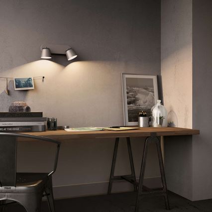 Philips 53342/31/16 - LED spotlight DENDER 2xLED/4W/230V