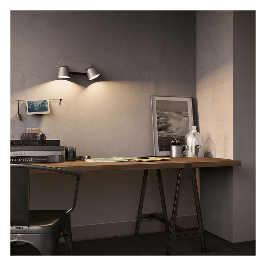 Philips 53342/31/16 - LED spotlight DENDER 2xLED/4W/230V