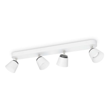 Philips 53344/31/16 - LED spotlight DENDER 4xLED/4W/230V