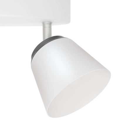 Philips 53344/31/16 - LED spotlight DENDER 4xLED/4W/230V
