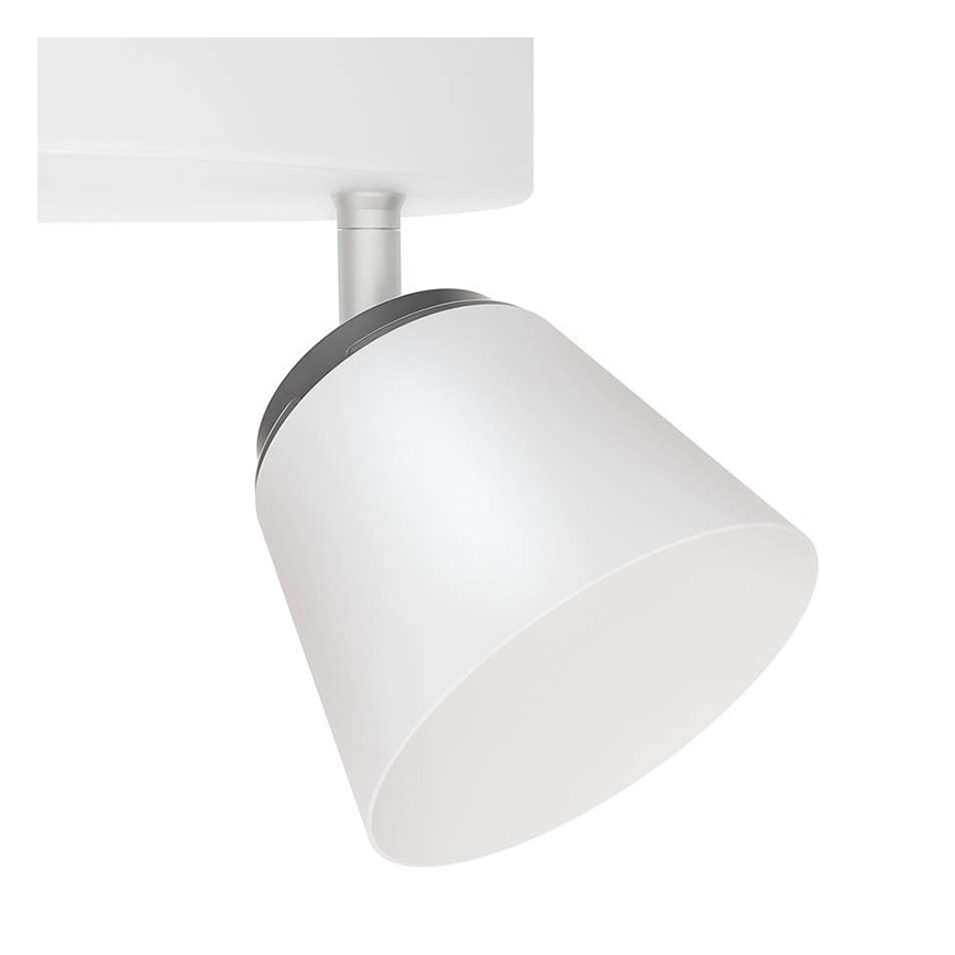 Philips 53344/31/16 - LED spotlight DENDER 4xLED/4W/230V