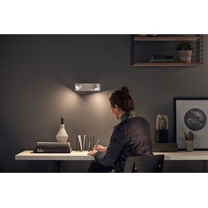 Philips 56242/31/P0 - LED Dimbar spotlight STAR 2xLED/4,5W/230V