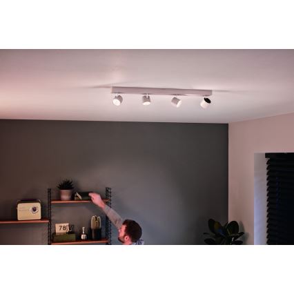 Philips 56244/31/P0 - LED Dimbar spotlight STAR 4xLED/4,5W/230V