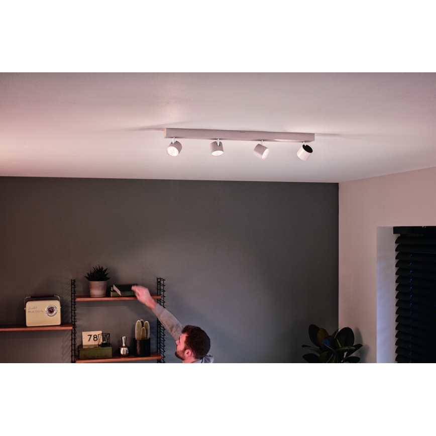 Philips 56244/31/P0 - LED Dimbar spotlight STAR 4xLED/4,5W/230V