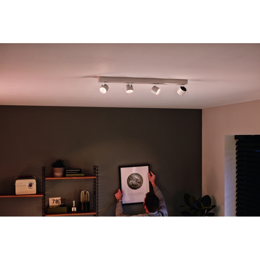 Philips 56244/31/P0 - LED Dimbar spotlight STAR 4xLED/4,5W/230V