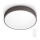 Philips 60262/43/P5 - LED Dimbar Takbelysning Brun 1xLED/28W/230V + Fjärrkontroll