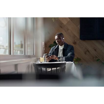 Philips Fidelio T1WT/00 - Trådlösa hörlurar IPX4 2x 60 mAh + 650 mAh silver
