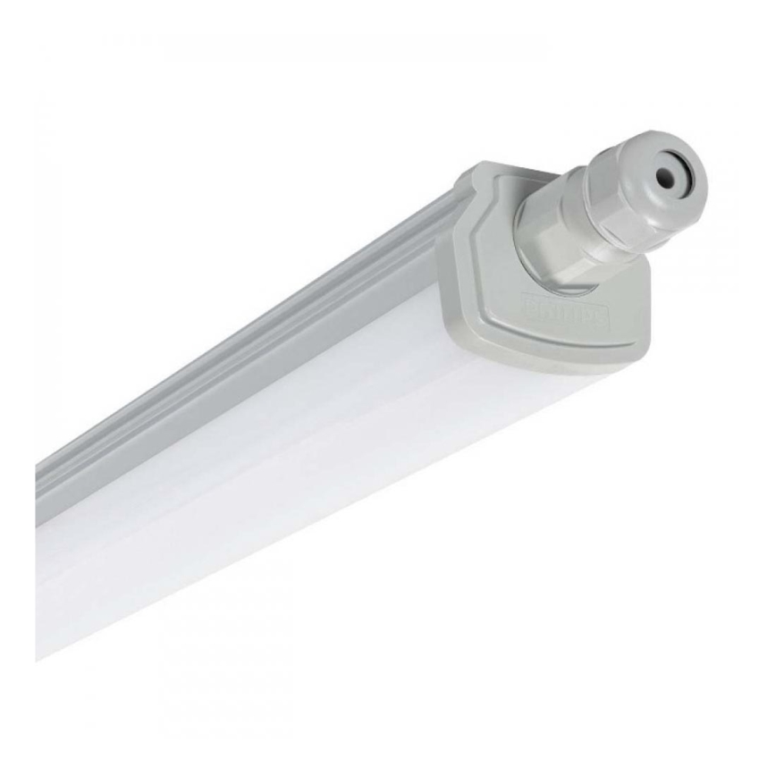 Philips - LED Arbetsbelysning LED/30W/230V IP66