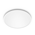 Philips - LED Dimbar Takbelysning klar 1xLED/18W/230V 4,000K