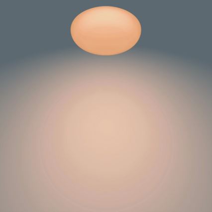 Philips - LED Dimbar Takbelysning TOBA 1xLED/23W/230V + Fjärrstyrd