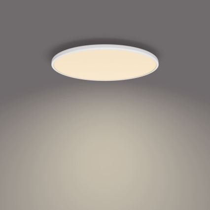 Philips - LED Dimbar taklampa SCENE SWITCH LED/36W/230V diameter 50 cm 2700K vit