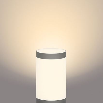 Philips - LED-lampa för utomhusbruk GARDENLINK LED/24W/230V 2700K IP44
