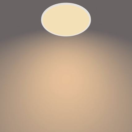 Philips - LED ljusreglerad utomhusbelysning SUPERSLIM SCENE SWITCH LED/15W/230V IP54 vit