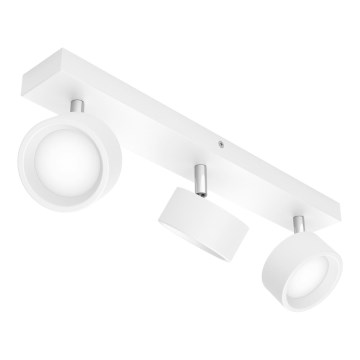 Philips - LED spotlight 3xLED/5,5W/230V vit