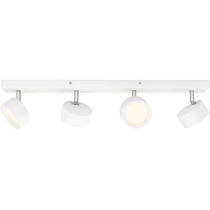 Philips - LED spotlight 4xLED/5,5W/230V vit