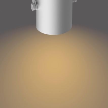 Philips - LED spotlight SCENE SWITCH BYRE 3xLED/4,3W/230V 2200/2500/2700K