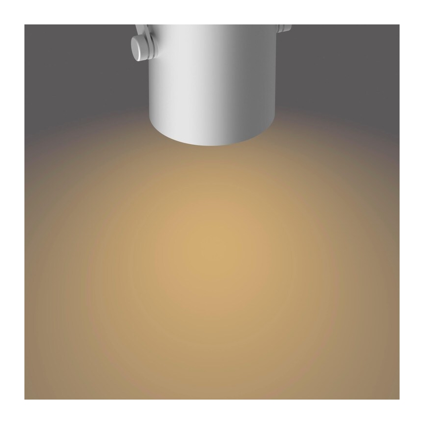 Philips - LED spotlight SCENE SWITCH BYRE 3xLED/4,3W/230V 2200/2500/2700K