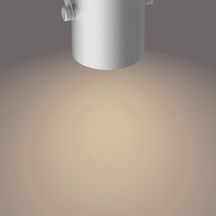 Philips - LED spotlight SCENE SWITCH BYRE 3xLED/4,3W/230V 2200/2500/2700K