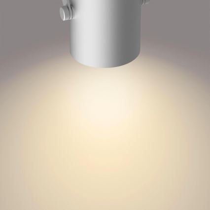Philips - LED spotlight SCENE SWITCH BYRE 3xLED/4,3W/230V 2200/2500/2700K