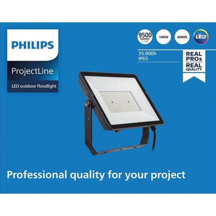 Philips - LED strålkastare för utomhusbruk PROJECTLINE LED/100W/230V IP65 4000K