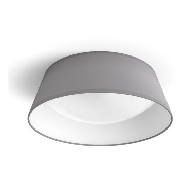 Philips - LED Takbelysning DAWN LED/14W/230V grå