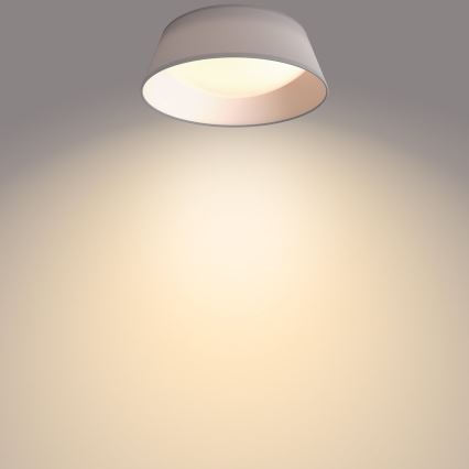 Philips - LED Takbelysning DAWN LED/14W/230V grå