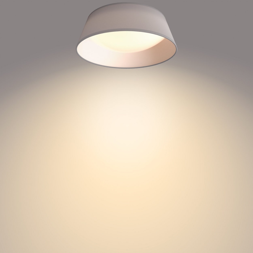 Philips - LED Takbelysning DAWN LED/14W/230V grå