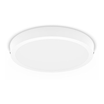 Philips - LED Takbelysning LED/20W/230V 2700K vit