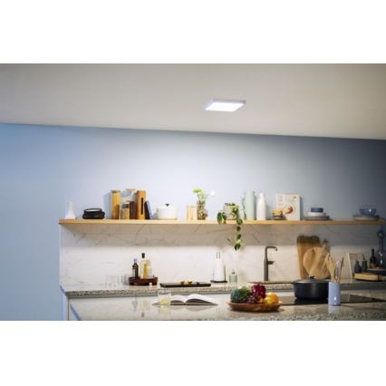 Philips - LED Takbelysning LED/12W/230V 4000K vit