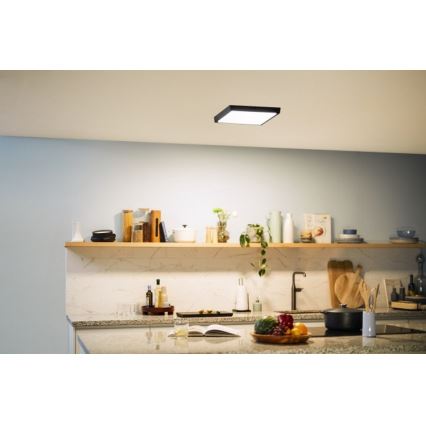 Philips - LED Takbelysning LED/20W/230V 2700K svart