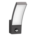 Philips - LED Utomhus vägglampa med sensor SPLAY LED/3,8W/230V IP44