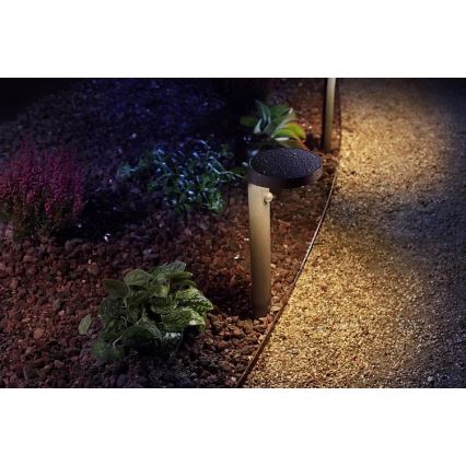 Philips - LED Utomhuslampa med sensor LED/9W/230V 2700K IP44
