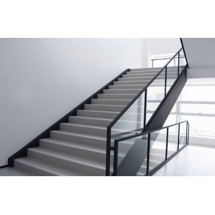 Philips - LED väggbelysning PROJECTLINE LED/15W/230V IP65