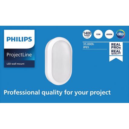 Philips - LED väggbelysning PROJECTLINE LED/15W/230V IP65
