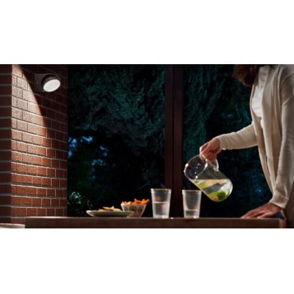 Philips - LED vägglampa för utomhusbruk LED/7W/230V 4000K IP44