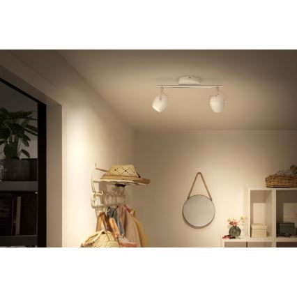 Philips Lirio 57032/31/P0 - LED spotlight PLANET 2xLED/4,2W/230V
