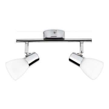 Philips Massive 50242/11/E1 - LED spotlight COIR 2xLED/4.3W/230V