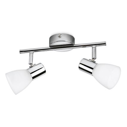 Philips Massive 50242/11/E1 - LED spotlight COIR 2xLED/4.3W/230V