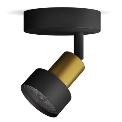 Philips - Spotlight CONDUIT 1xGU10/5W/230V svart/mässing