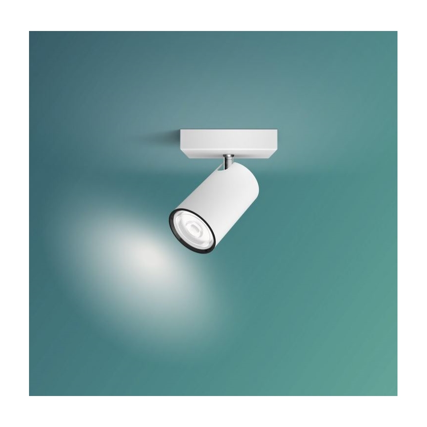 Philips - Spotlight KOSIPO 1xGU10/5,5W/230V vit