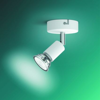 Philips - Spotlight 1xGU10/50W/230V vit
